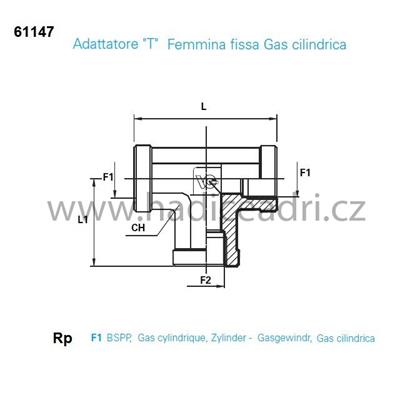 ADAPTER 3XIG BSPP GAS 